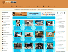 Tablet Screenshot of anjingdijual.com